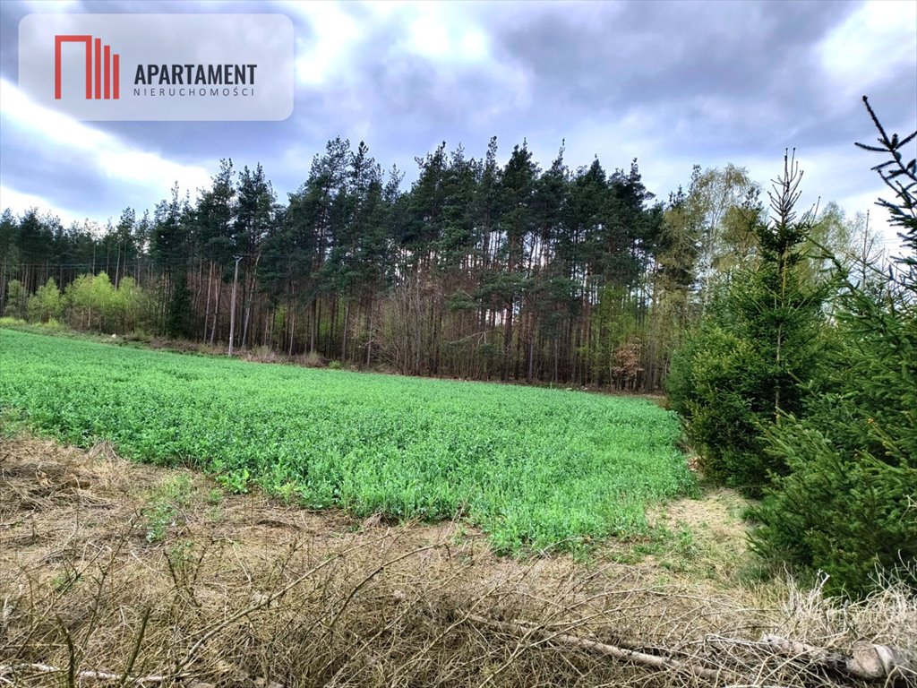 Działka 1000 m2 pod dom w lesie, media w trakcie Frank  1 000m2 Foto 1