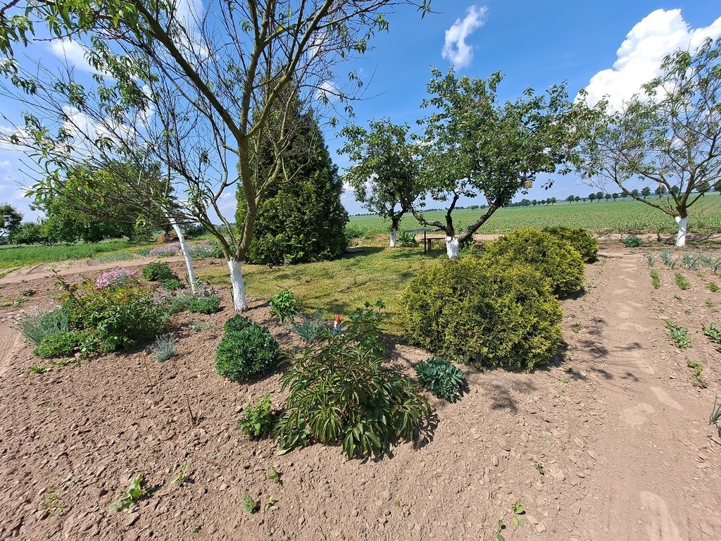 Mieszkanie trzypokojowe na sprzedaż Wronki  63m2 Foto 15