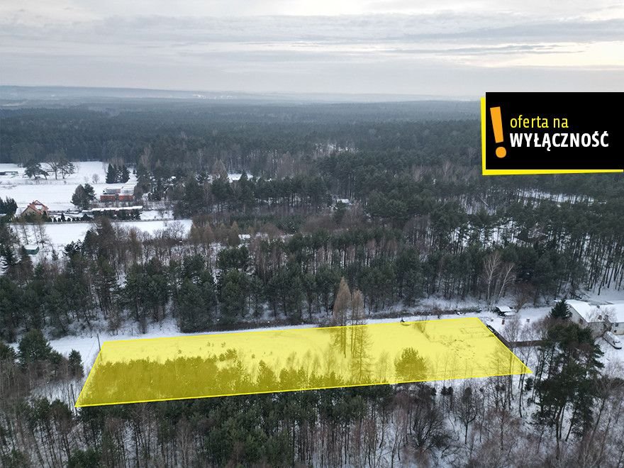 Działka 3 200 m² w lesie, blisko Kielc, MPZP Kranów  3 200m2 Foto 1