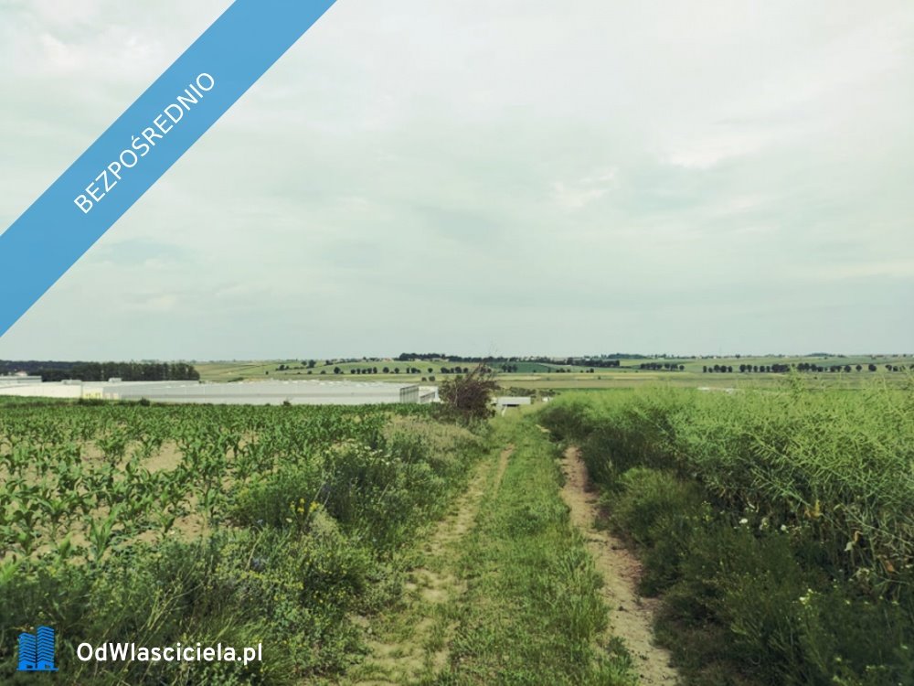 Działka budowlana na sprzedaż Gostyń  6 700m2 Foto 3