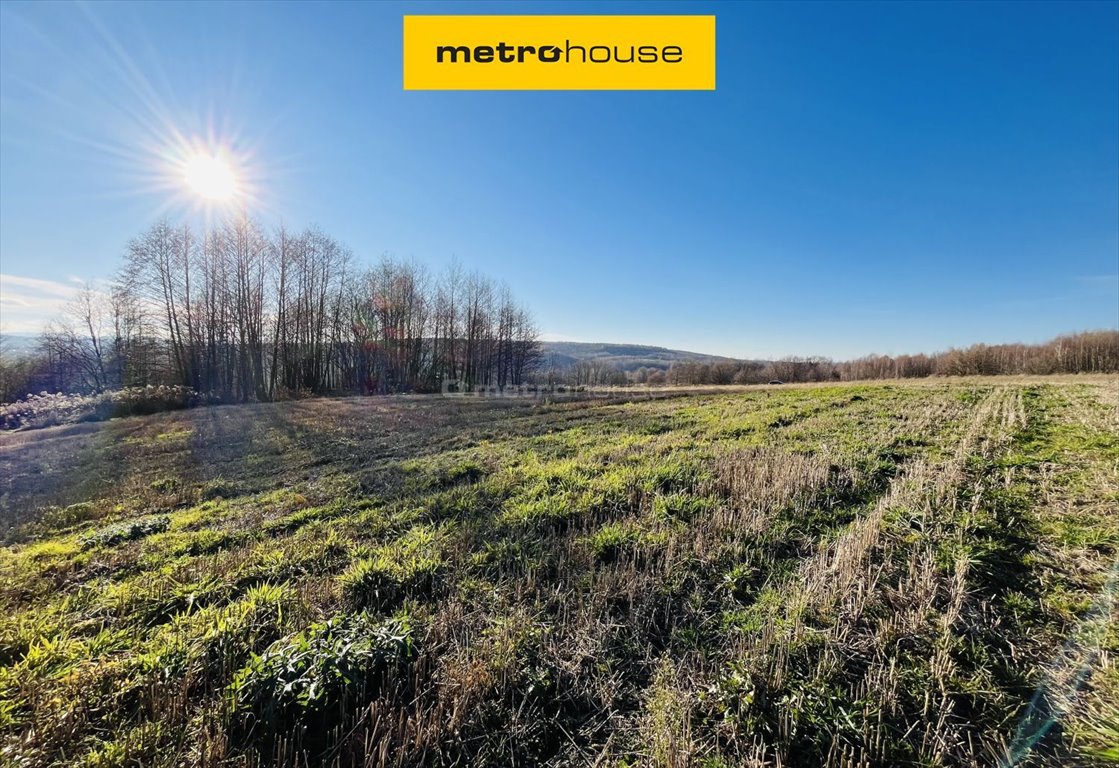 Działka budowlana na sprzedaż Jedlicze  2 350m2 Foto 1