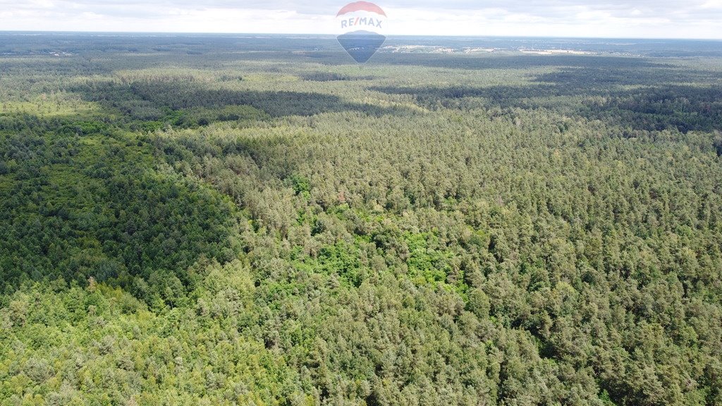 Działka budowlana na sprzedaż Ostrowiec Świętokrzyski, Las Rzeczki  1 574m2 Foto 3