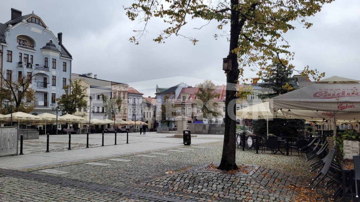 Lokal użytkowy na sprzedaż Bielsko-Biała, Żwirki i Wigury  400m2 Foto 9