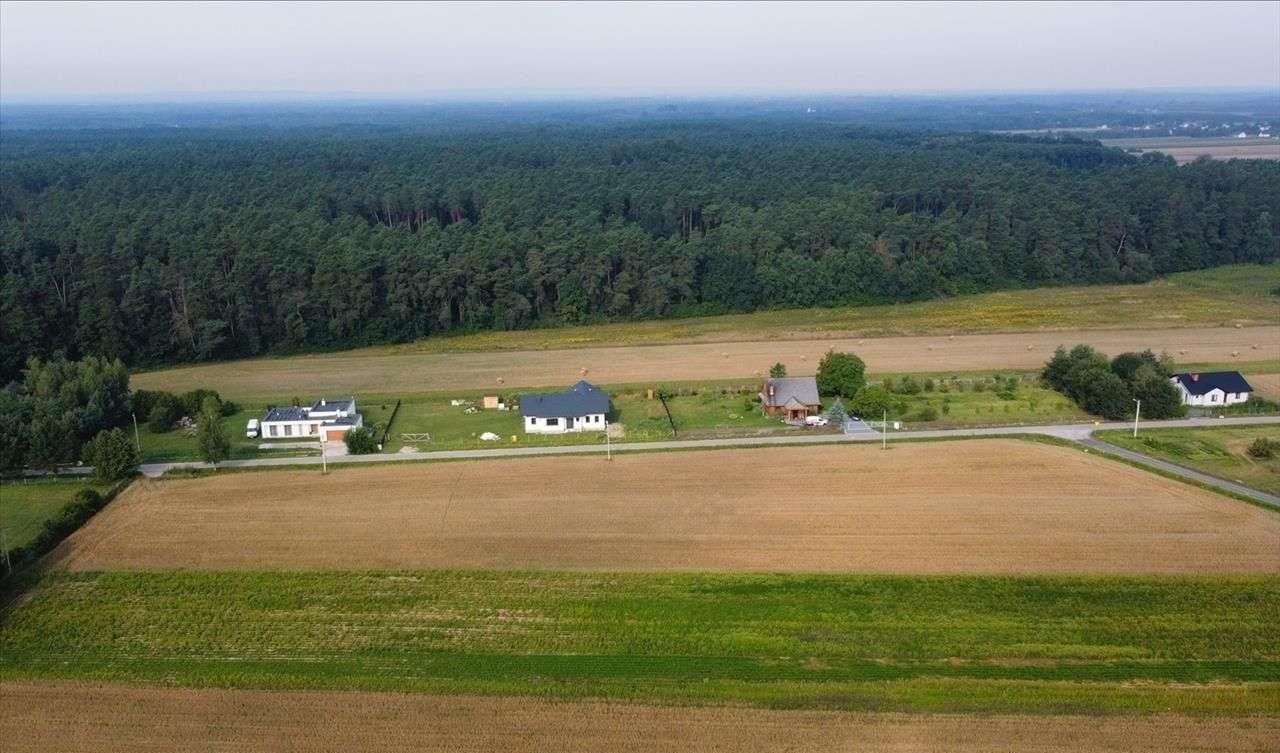 Działka rolna na sprzedaż Strzałków  9 759m2 Foto 3