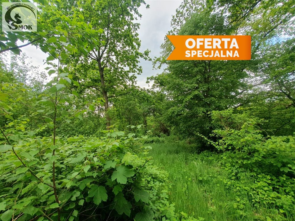 Działka rolna na sprzedaż Świątniki Górne, Dział  2 400m2 Foto 1