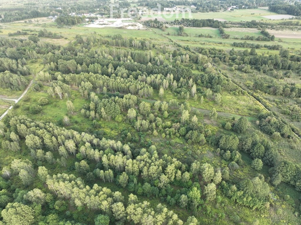 Działka inwestycyjna na sprzedaż Okuniew, Inwestorska  3 475m2 Foto 12