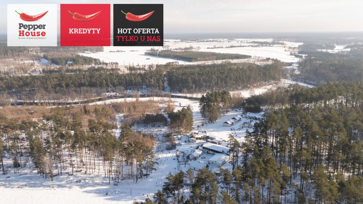 Polecam malowniczą agroturystykę 7100 m² w Borach Tucholskich Żukowo  7 100m2 Foto 1