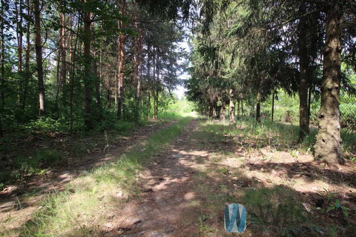 Działka budowlana na sprzedaż Łomianki Dolne, Kościelna Droga  5 533m2 Foto 3