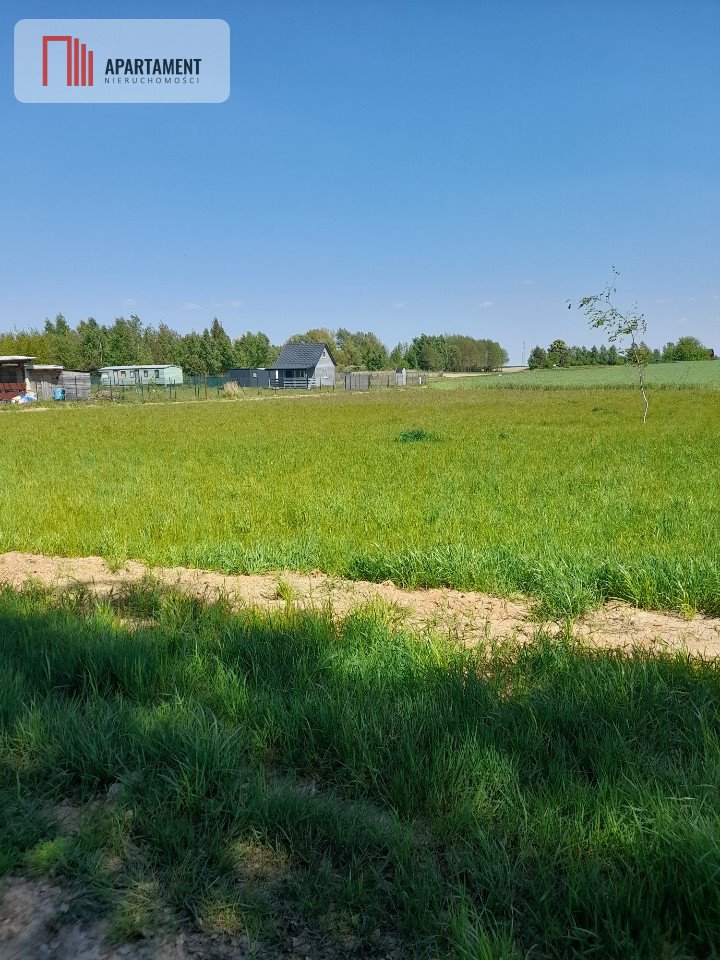 Działka rekreacyjna na sprzedaż Niemojewo  800m2 Foto 5