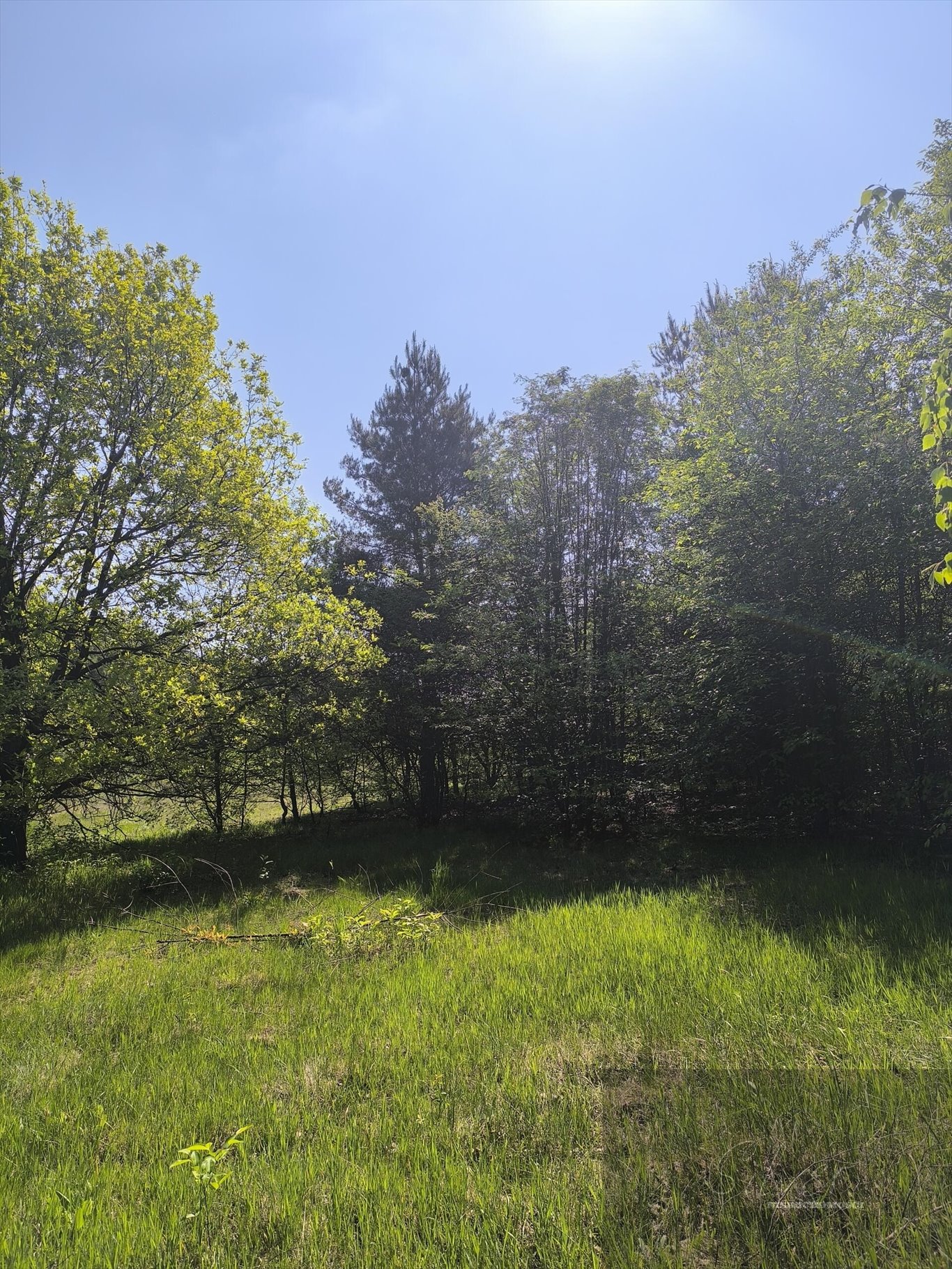 Działka 1459 m² pod dom w otoczeniu lasów i rekreacji Bartoszówka  1 459m2 Foto 1