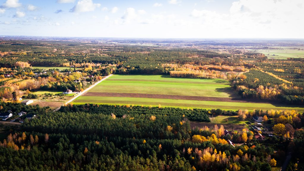 Działka budowlana na sprzedaż Wodzierady  2 618m2 Foto 3