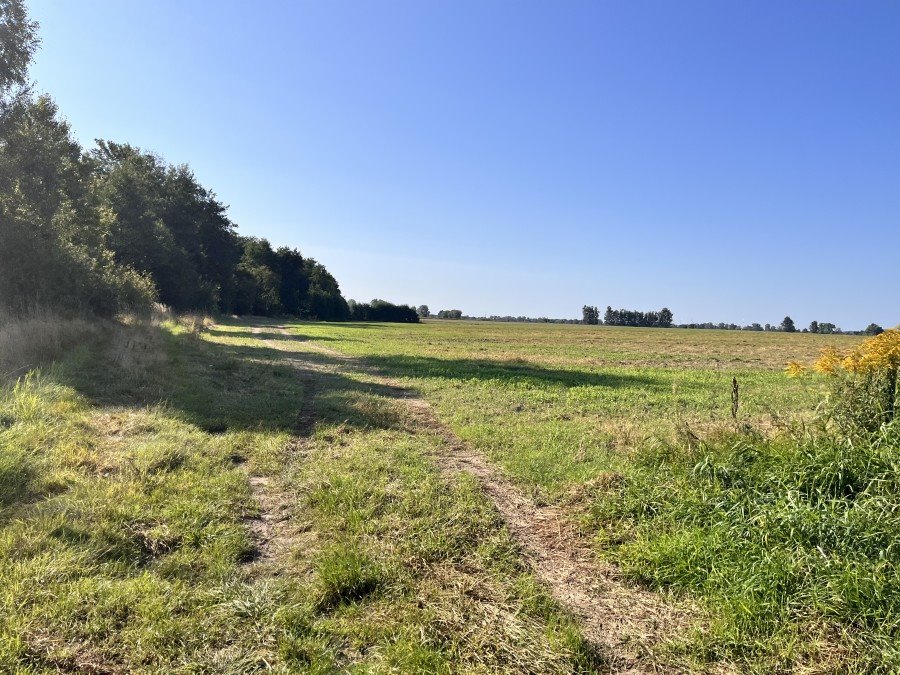 Działka leśna na sprzedaż Dalewo  43 600m2 Foto 3