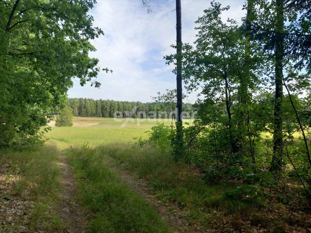 Działka 59 108 m² z warunkami zabudowy w Szczekarzewie Szczekarzewo  59 108m2 Foto 1