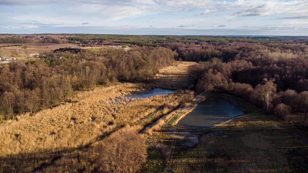 Działka budowlana na sprzedaż Żary, Bociania  7 776m2 Foto 2