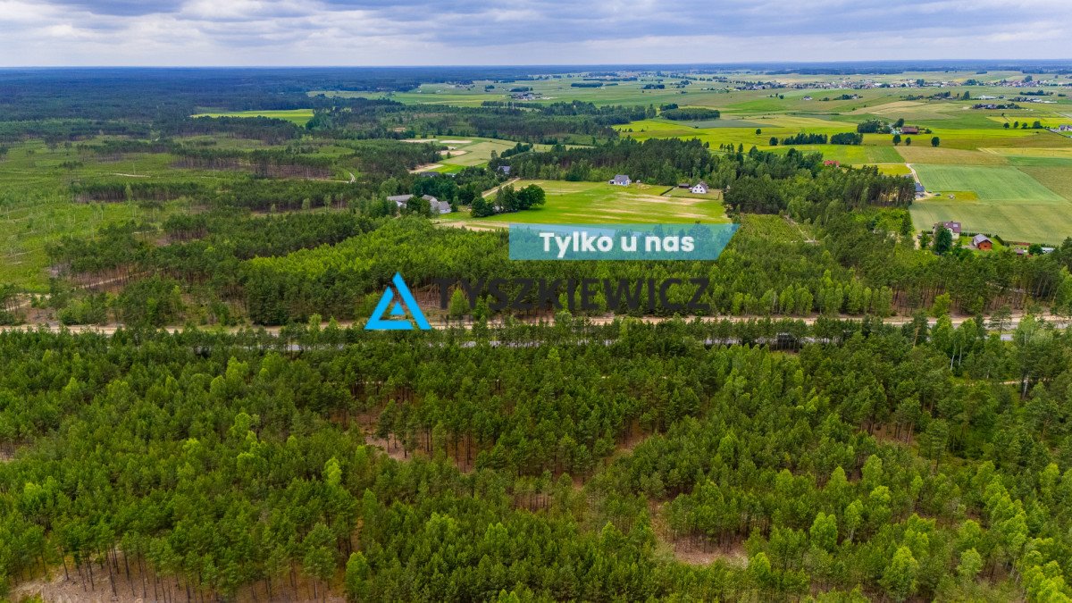 Urokliwa działka leśna z potencjałem, blisko jezior Czyczkowy  151 806m2 Foto 1