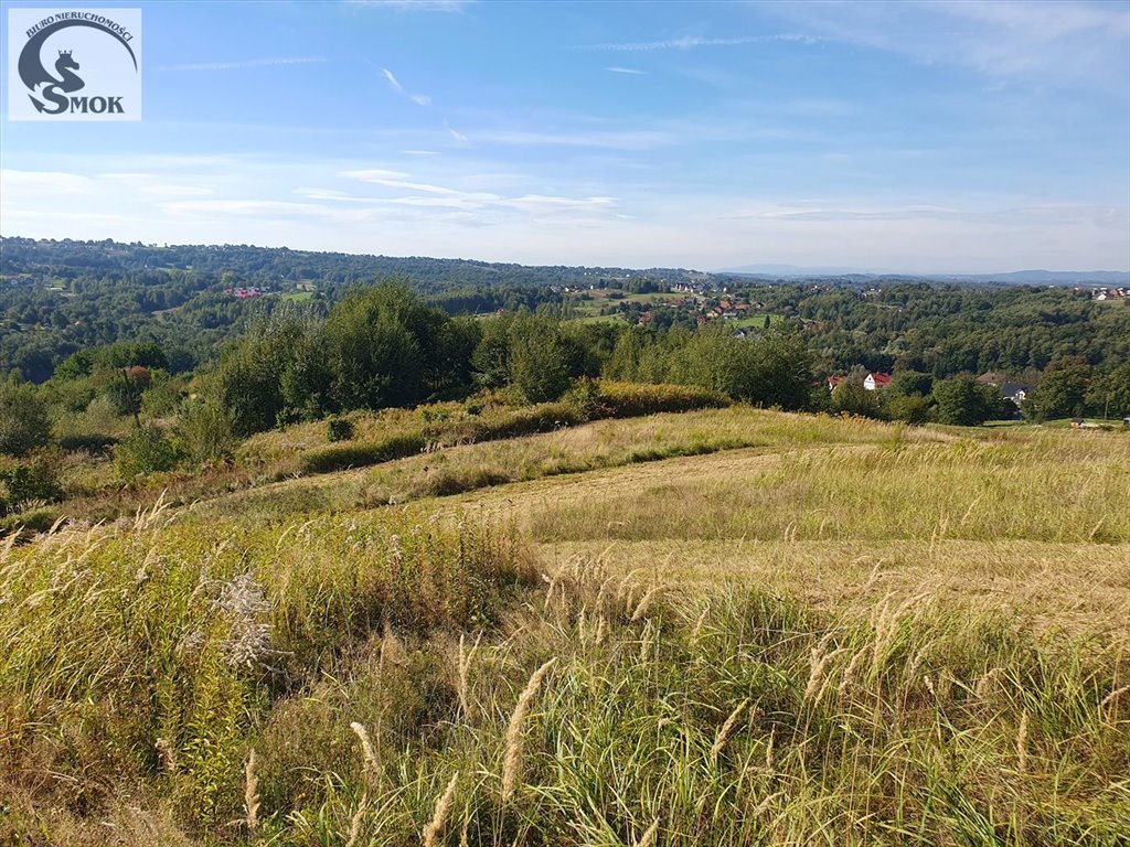 Działka rolna na sprzedaż Brzyczyna  3 500m2 Foto 3