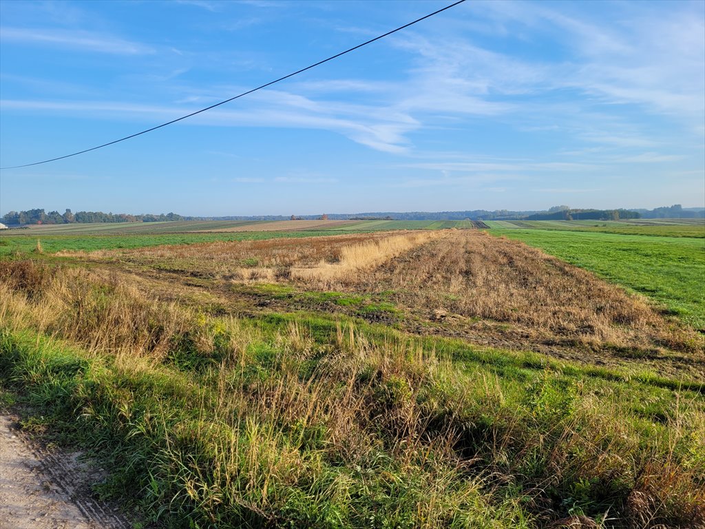 Działka rolna na sprzedaż Jędrzejów, Gozna  32 709m2 Foto 2