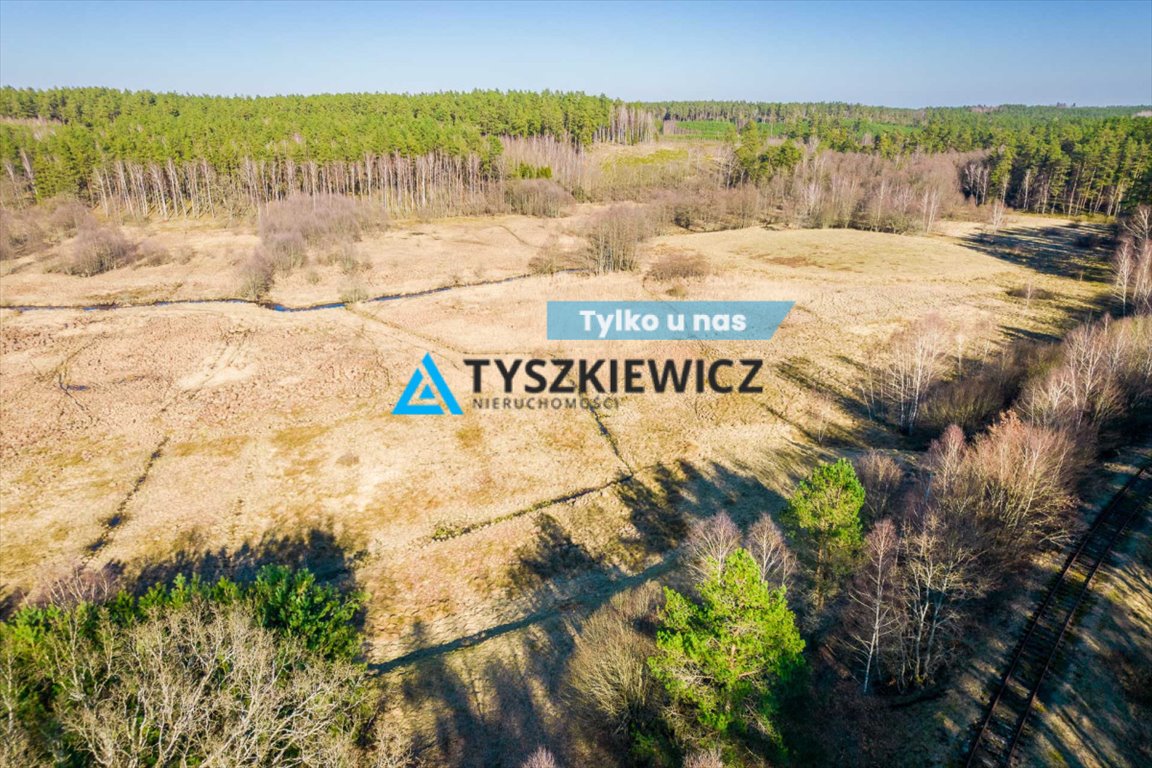 Działka rolna nad rzeką, las, spokój, 43 300 m2 Gumieniec  43 300m2 Foto 1