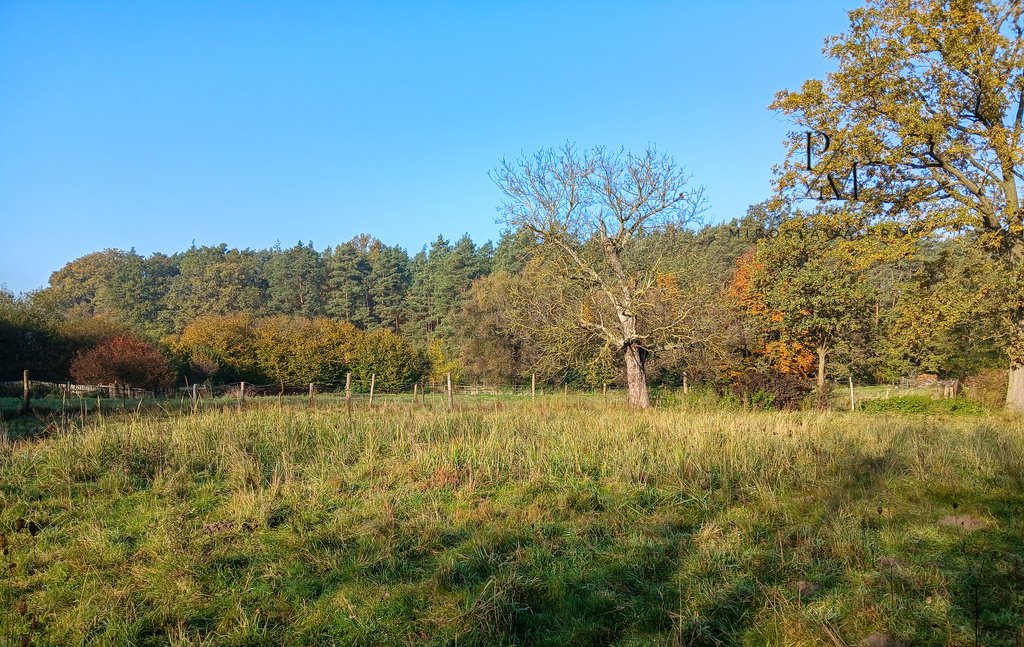 Działka budowlana na sprzedaż Łazy  1 691m2 Foto 1