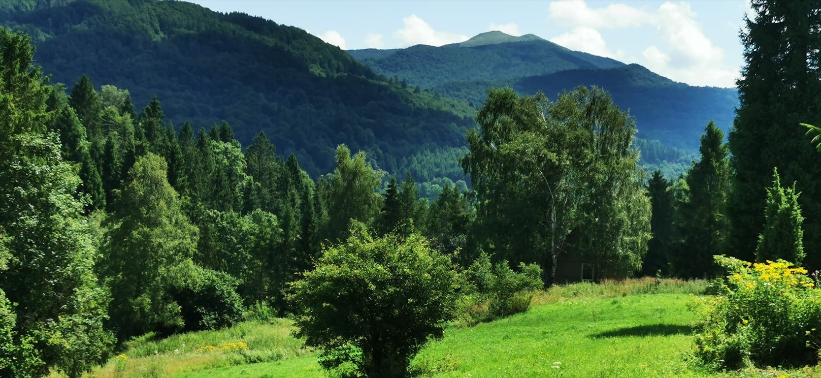 Działka budowlana na sprzedaż Kalnica, gm. Cisna, koło Wetliny  5 000m2 Foto 1