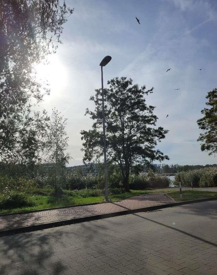 Działka 2305 m² z ośrodkiem blisko plaży w Dziwnowie Dziwnów, ul. Juliusza Słowackiego  2 305m2 Foto 1