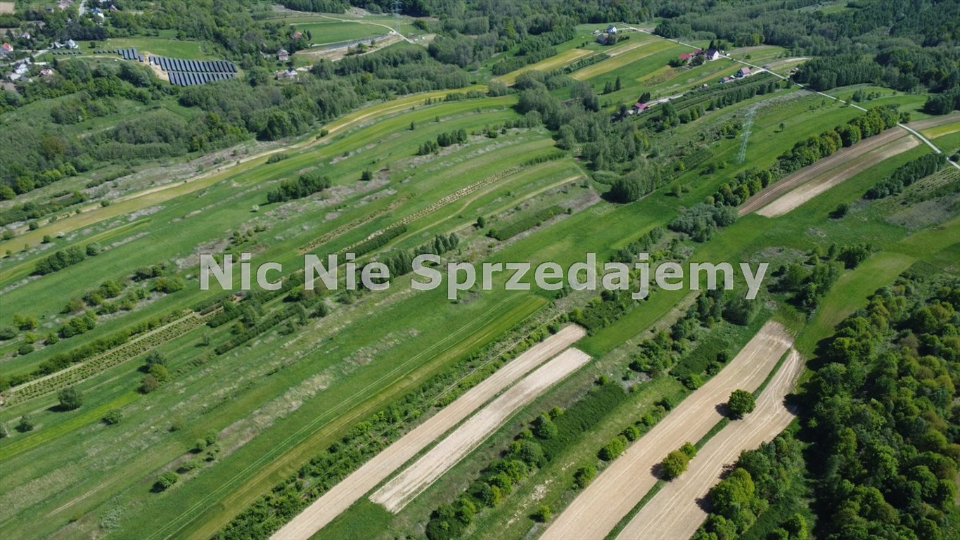Działka rolna na sprzedaż Dębno, Łysa Góra  7 000m2 Foto 4