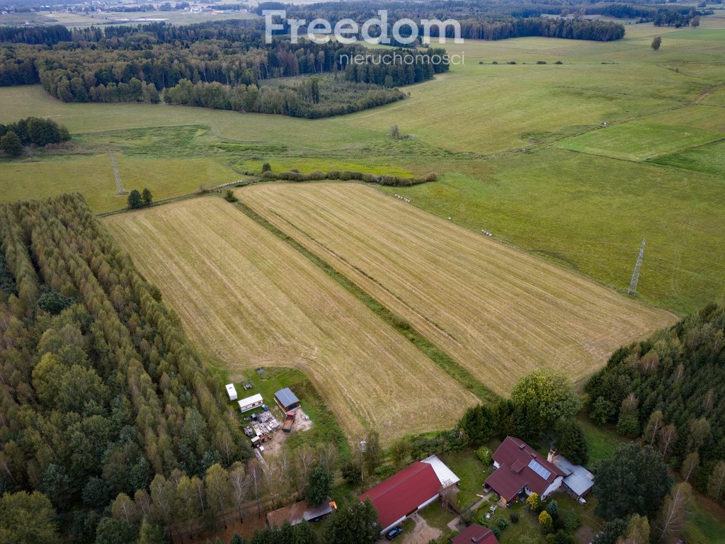 Działka rolna na sprzedaż Wrzesina  3 300m2 Foto 3