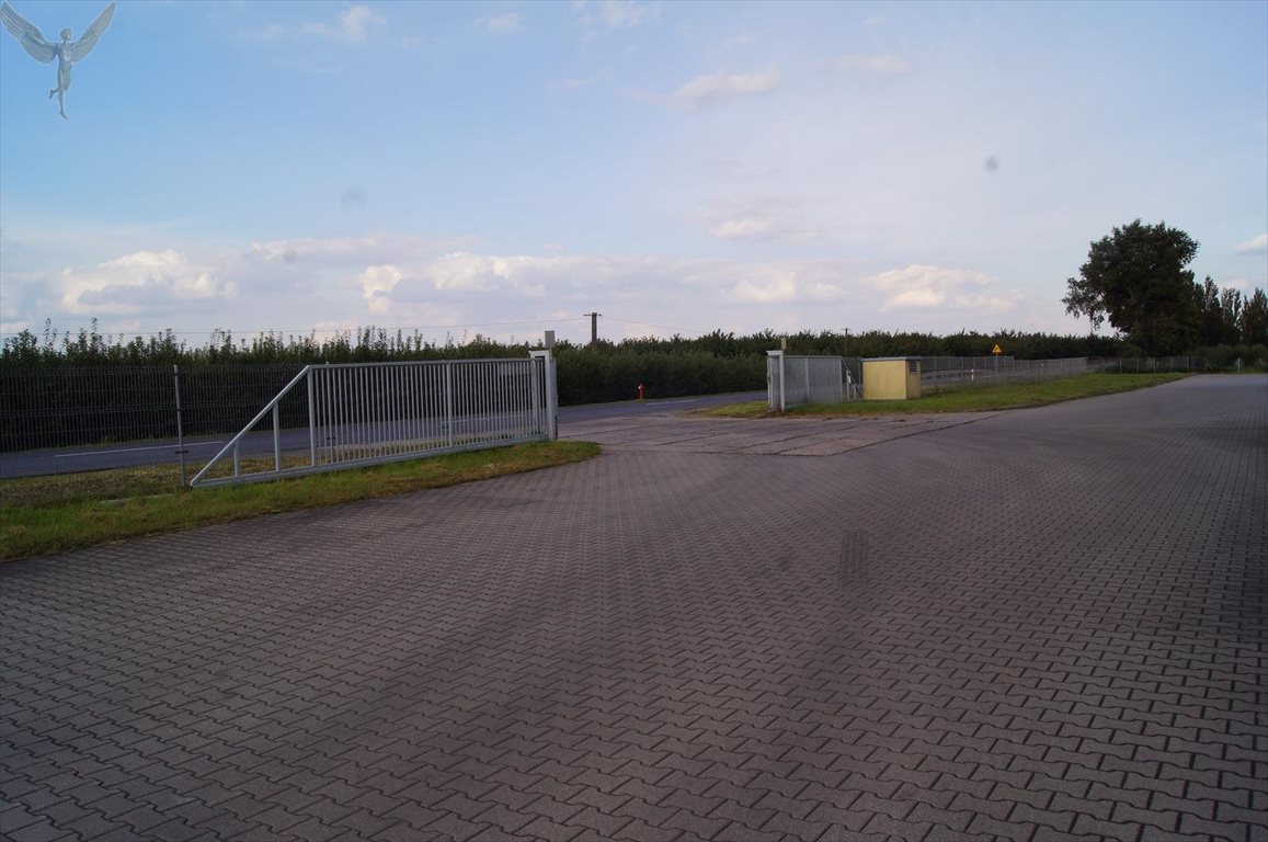 Magazyn na sprzedaż Kórnik  14 500m2 Foto 8