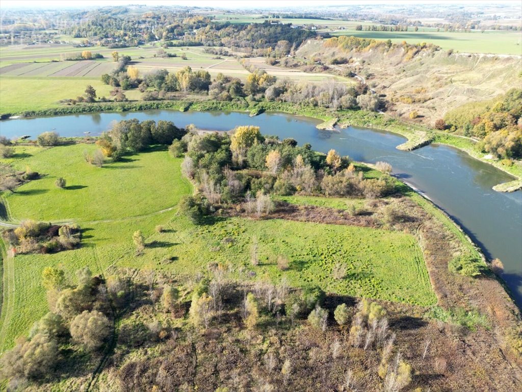 Działka rolna na sprzedaż Dąbrówka Morska  9 500m2 Foto 7