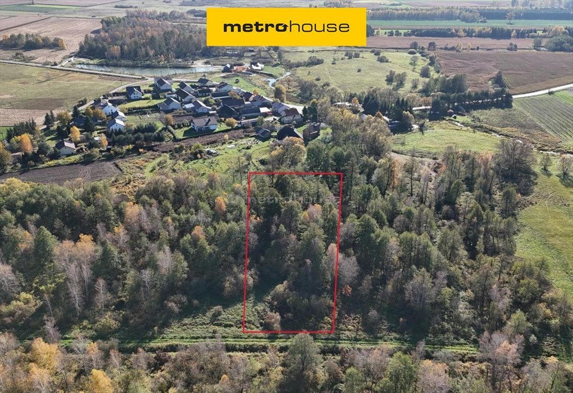 Sprzedam działki 3200 m² w Żytniej z potencjałem inwestycyjnym Żytnia  4 200m2 Foto 1