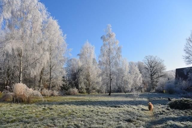 Działka budowlana na sprzedaż Lubomierz  31 200m2 Foto 8