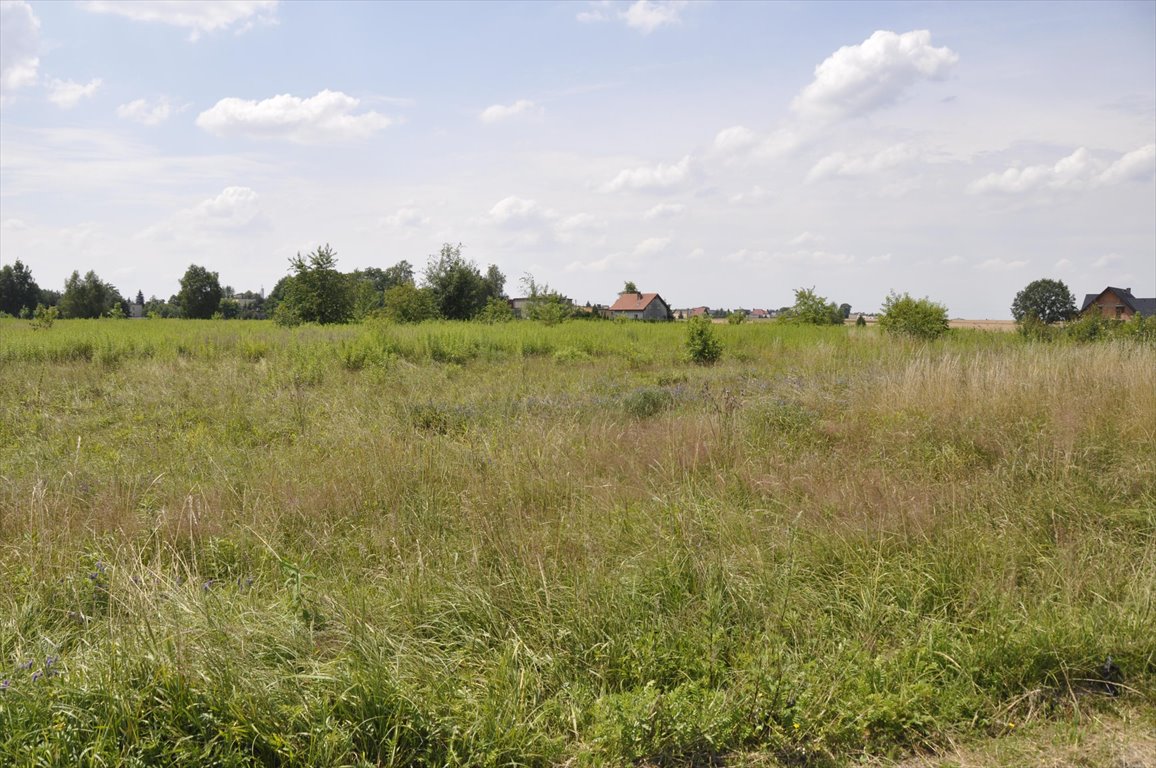 Działka budowlana w Orzeszu z mediami i możliwością zabudowy Orzesze  800m2 Foto 1