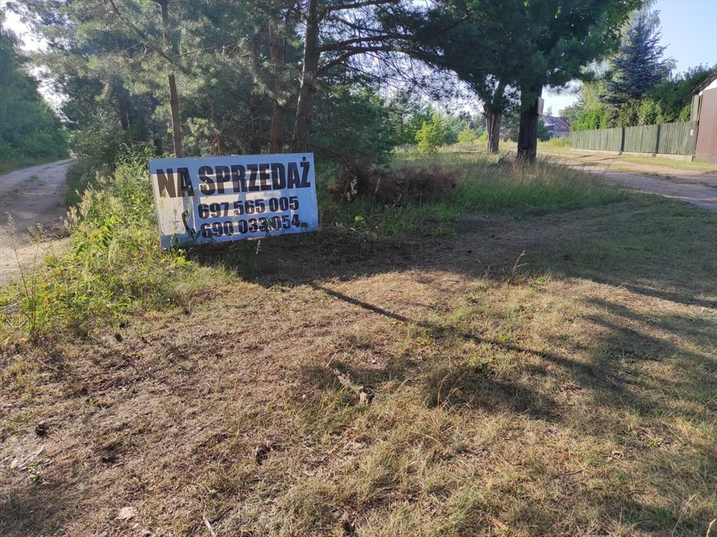 Zapraszam do zakupu działki 5500 m² pod usługi i rekreację Cieksyn  5 500m2 Foto 1