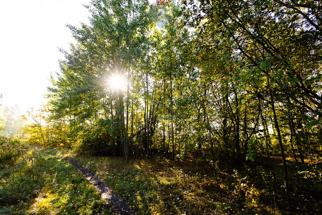 Działka rolna na sprzedaż Łódź, Polesie  1 462m2 Foto 14