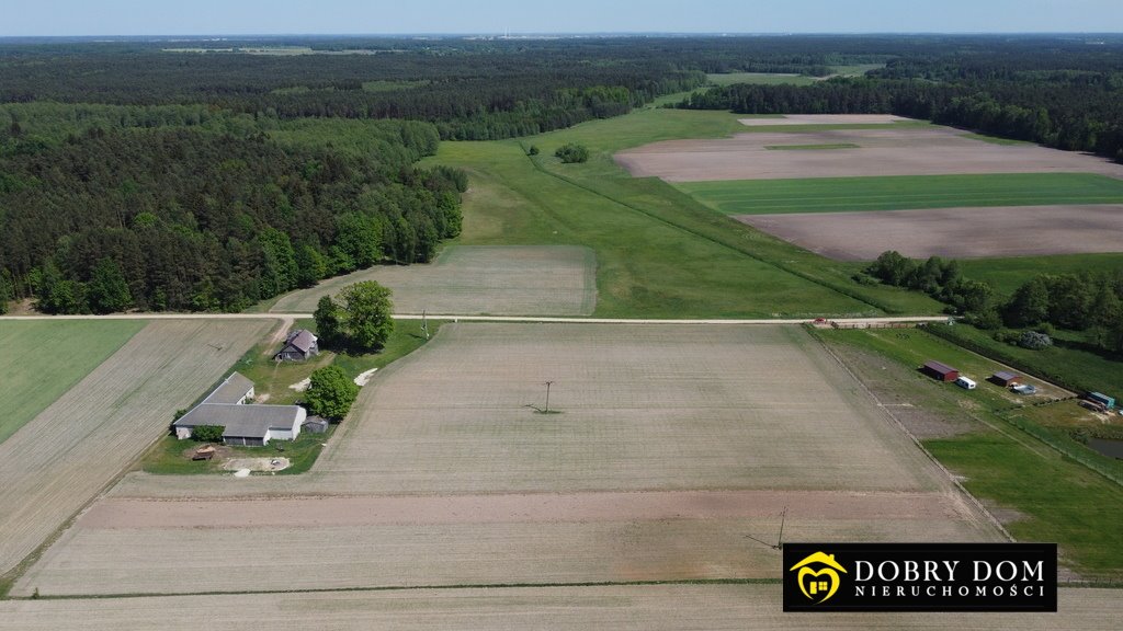 Działka budowlana na sprzedaż Brześcianka  4 792m2 Foto 3