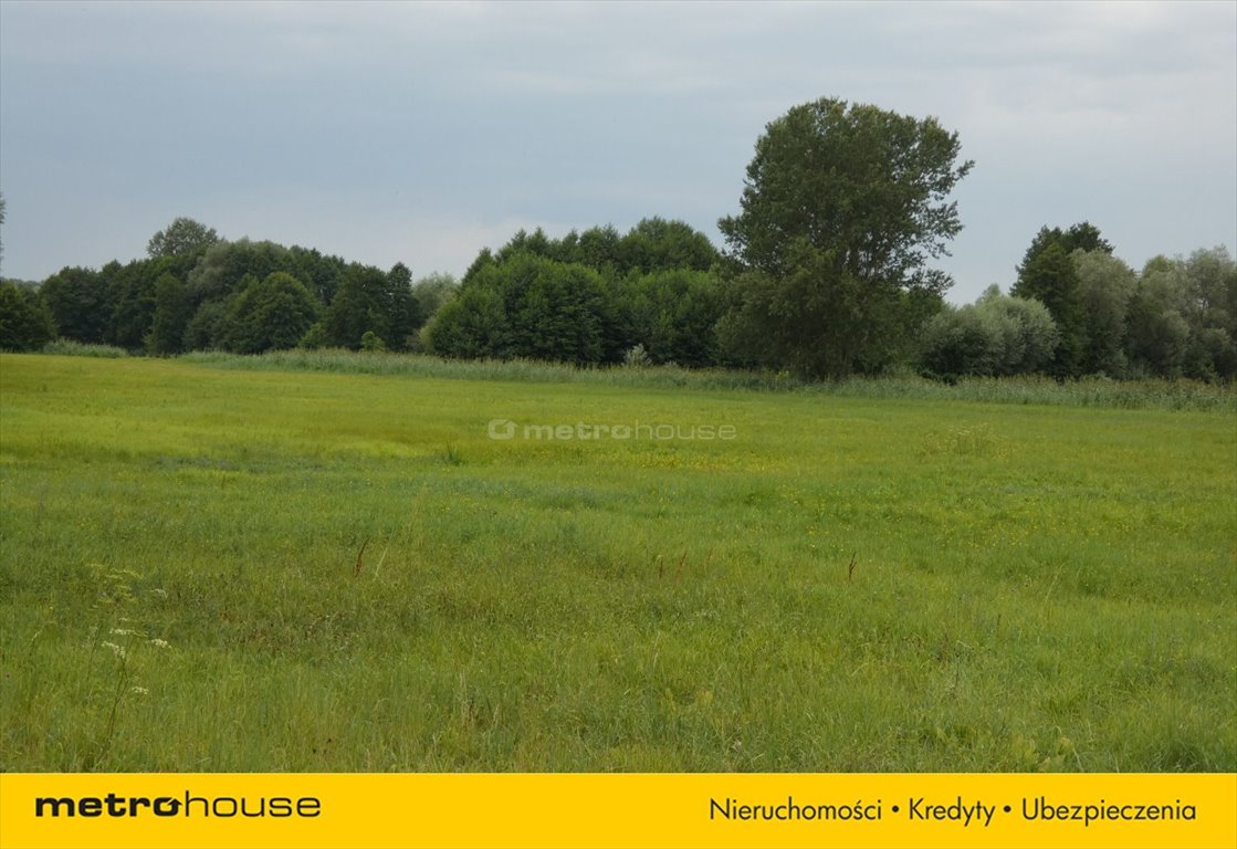 Działka siedliskowa na sprzedaż Secymin Polski  3 000m2 Foto 3