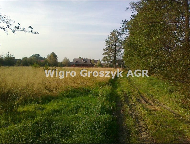 Działka rolna na sprzedaż Sowia Wola  16 012m2 Foto 3