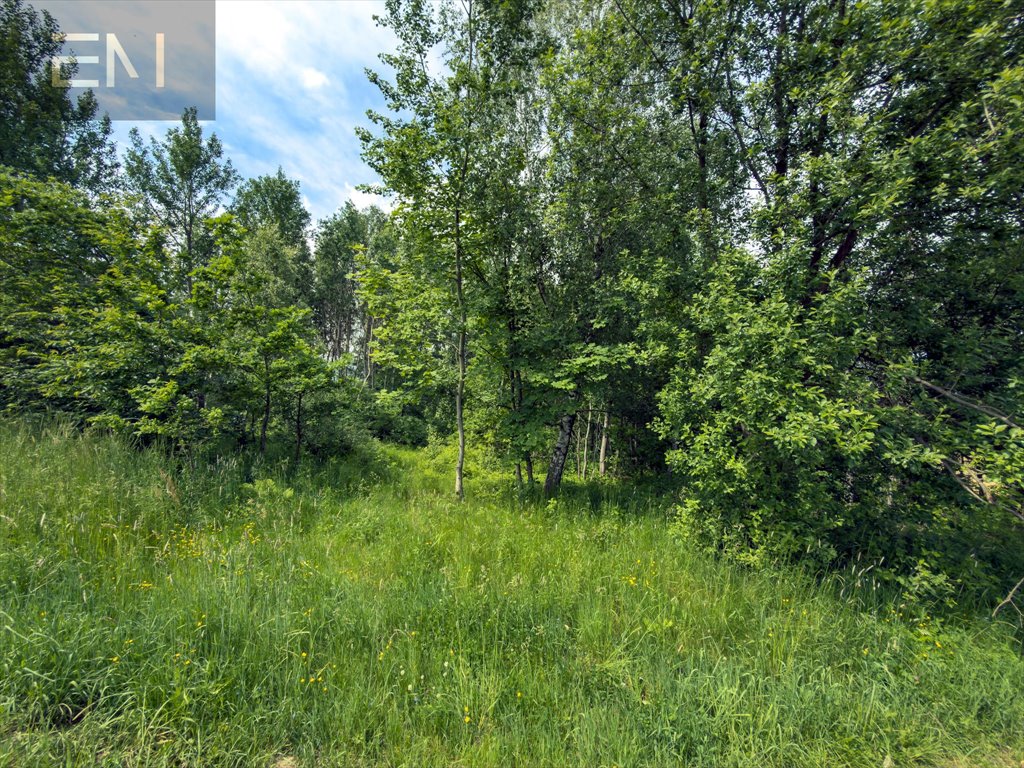 Sprzedam działkę rekreacyjną 46 arów z dostępem do asfaltu Szufnarowa  4 600m2 Foto 1