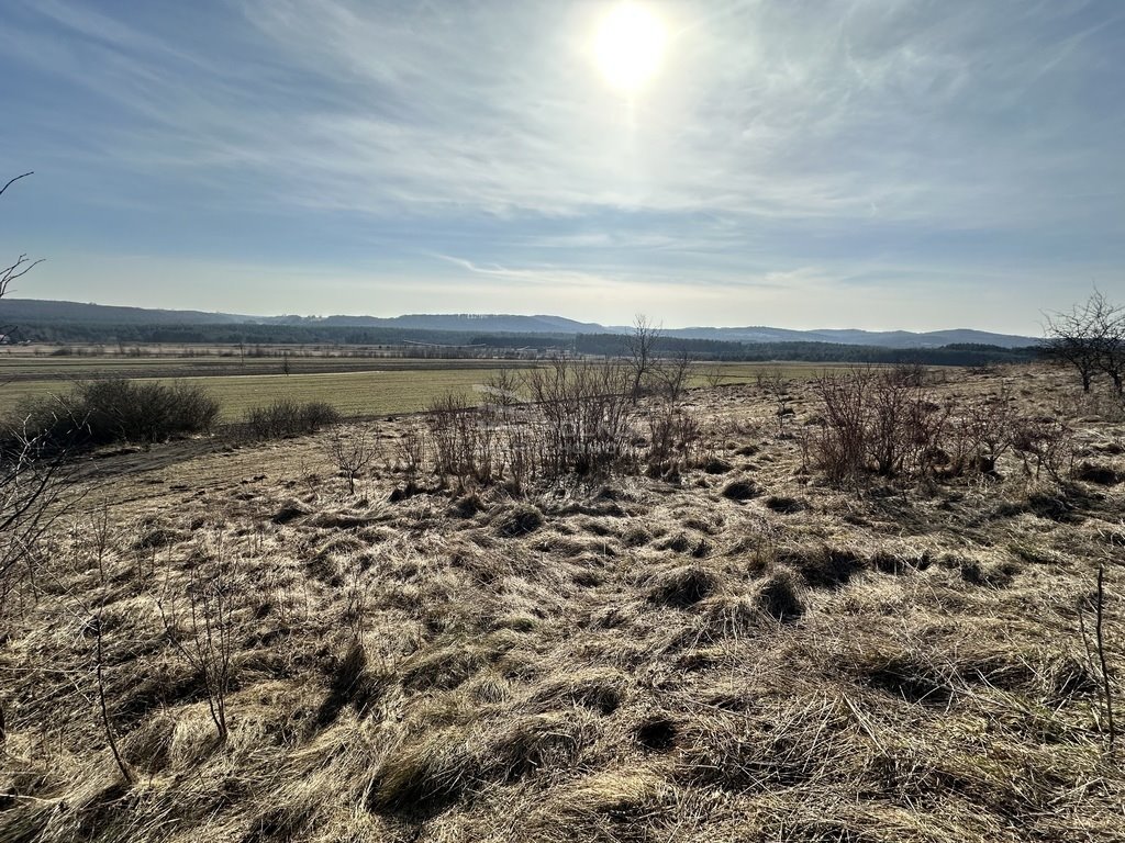 Działka rekreacyjna na sprzedaż Chrząstowice  930m2 Foto 1