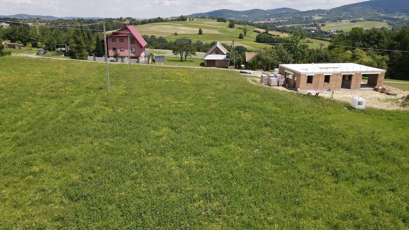 Działka budowlana na sprzedaż Polna  1 253m2 Foto 3