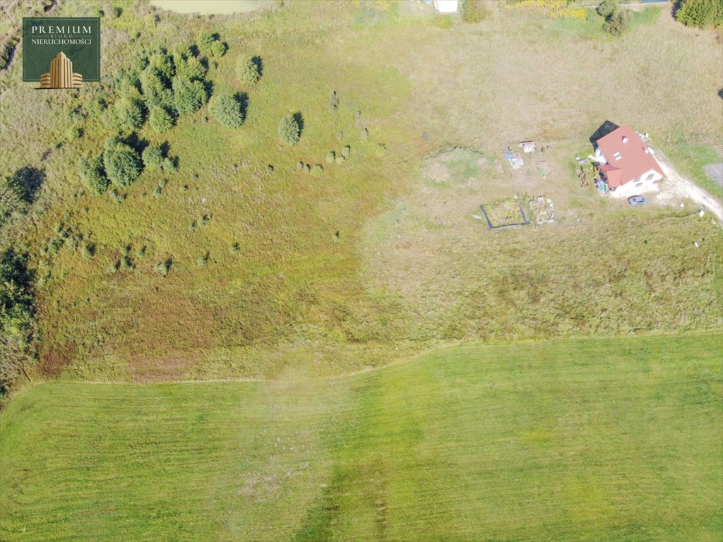 Działka budowlana na sprzedaż Krupniki  4 250m2 Foto 9