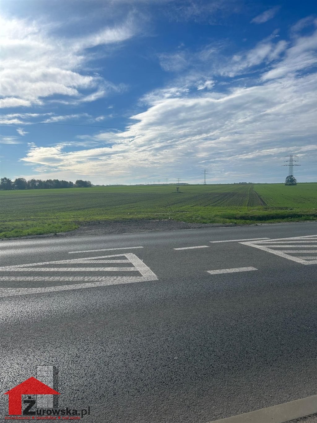 Działka budowlana na sprzedaż Strzelce Opolskie  4 070m2 Foto 2