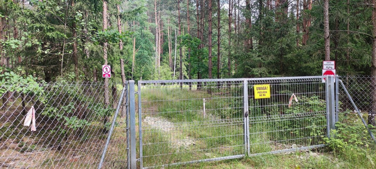 Działka budowlana na sprzedaż Kieźliny, Romana Domagały 2N do 2K  3 591m2 Foto 4