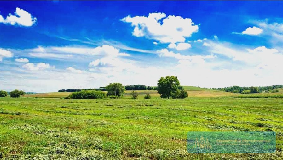 Działka budowlana na sprzedaż Tyczyn  800m2 Foto 1