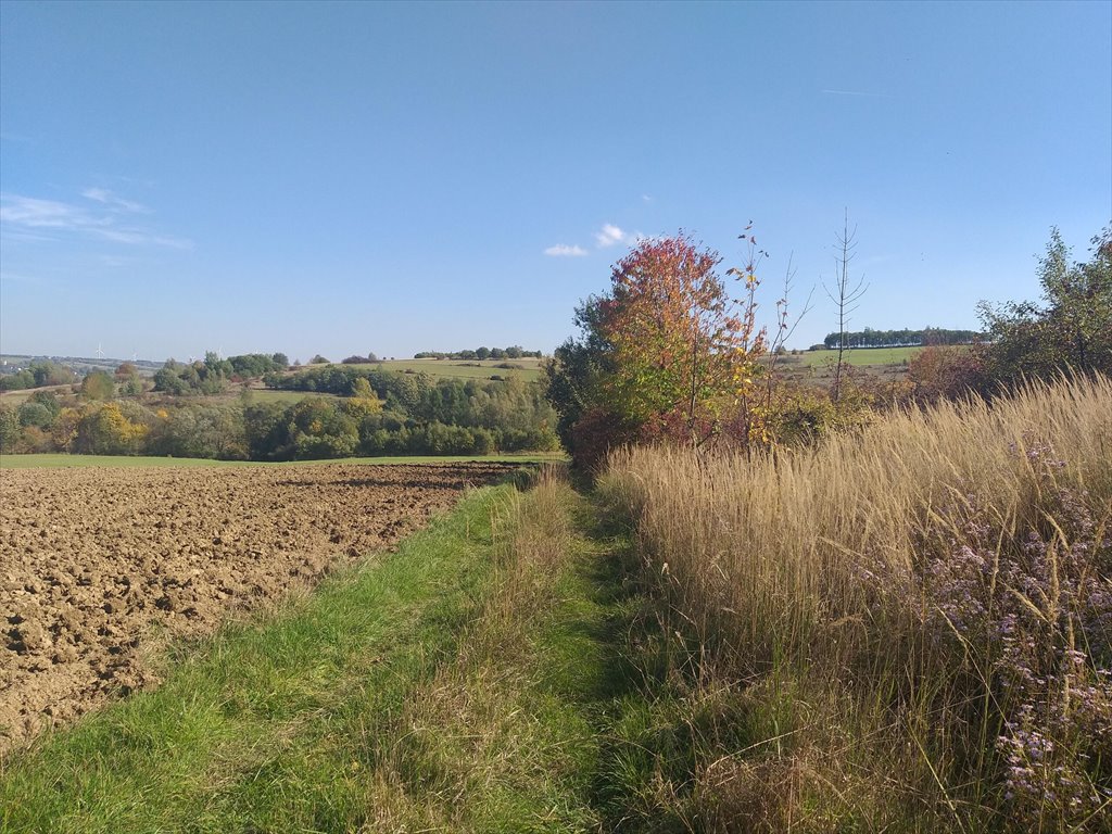 Działka rolna na sprzedaż Makowiska  1 133m2 Foto 7