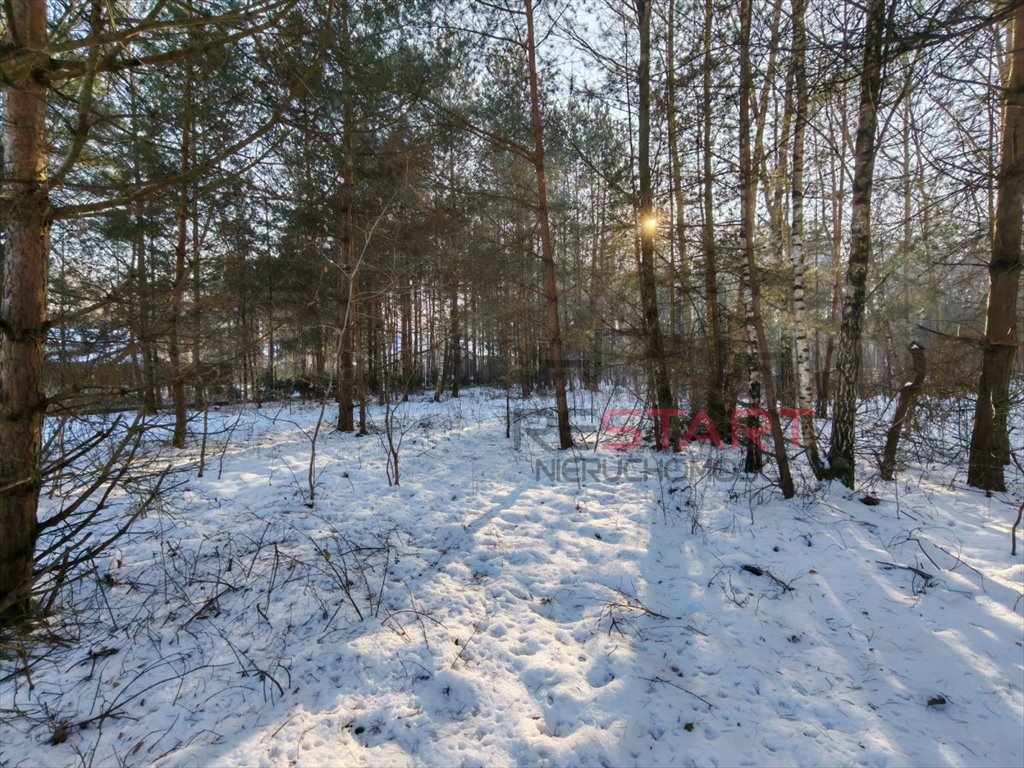 Działka z lasem i dostępem do mediów w Władkowie Władków  2 776m2 Foto 1