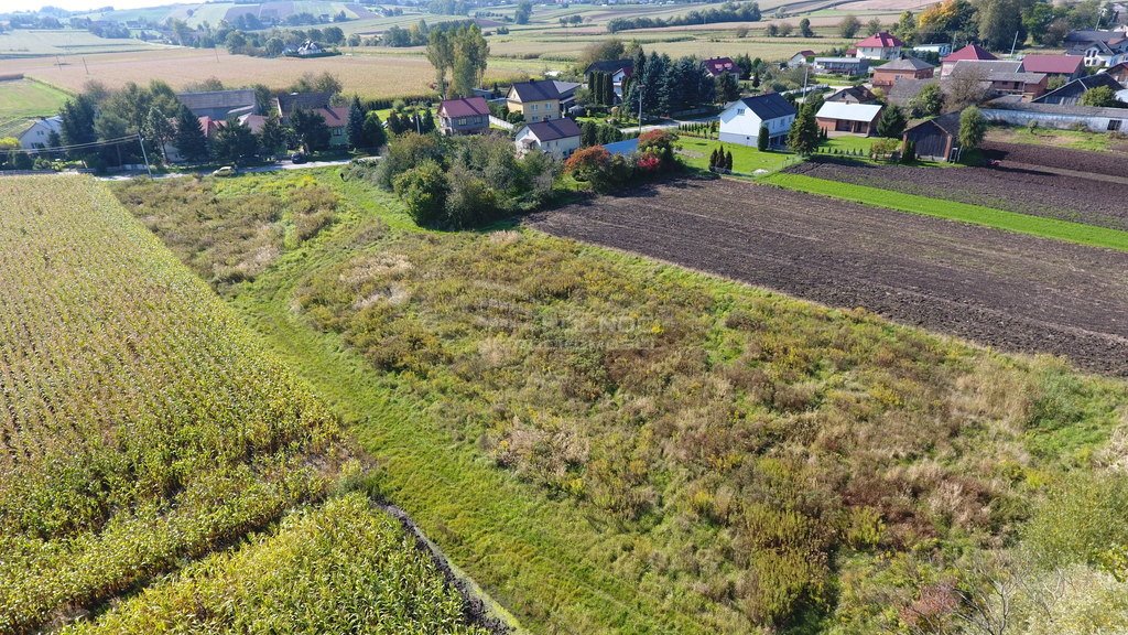 Działka rolna na sprzedaż Książnice Wielkie  5 343m2 Foto 16