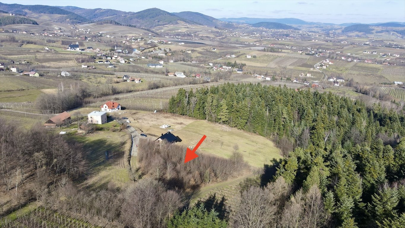 Działka budowlana na sprzedaż Olszana  2 153m2 Foto 8