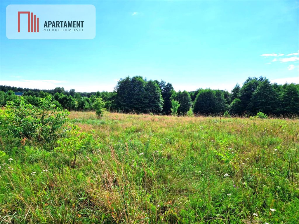 Działka budowlana na sprzedaż Śliwiczki  3 100m2 Foto 5