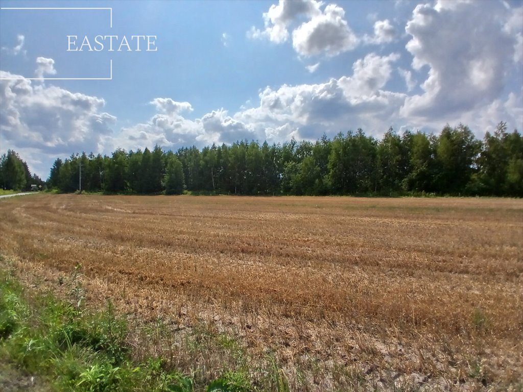 Działka budowlana na sprzedaż Krze Duże  5 700m2 Foto 6